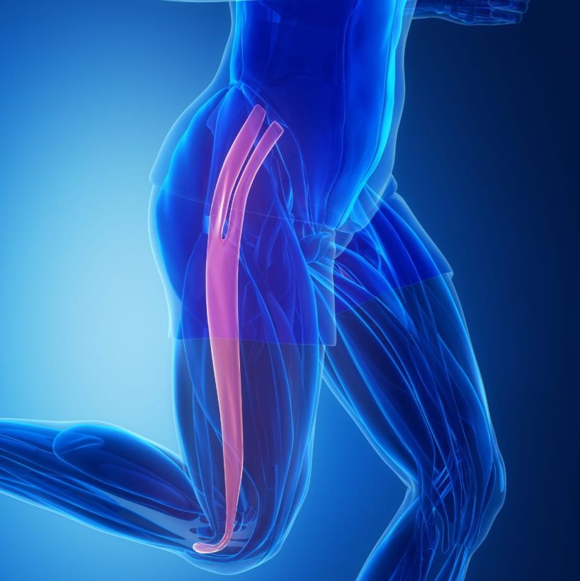 FISIOLOGIA 1.1 e1778094251628